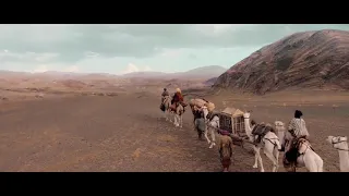 مقطع مونتاج قافلة جمال في الصحراء رحالة بدون حقوق هنا المزيد من المقاطع 