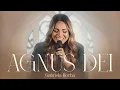 Download Lagu Gabriela Rocha - Agnus Dei (Ao Vivo)