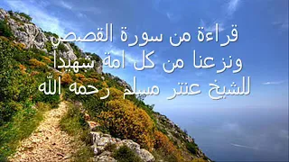 الشيخ عنتر سورة القصص إن قارون كان من قوم موسى 