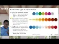 Colour Choices and Colour-Blind Accessibility in Data Visualization