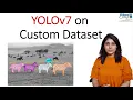 YOLOv7 Object Detection instance segmentation keypoints detection