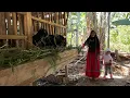 Download Lagu ANTAR, PULANG, KERJA, JEMPUT, PULANG, KERJA || PERJUANGAN YANG BERAT || MANTAN TKW HONGKONG