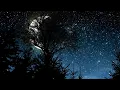 Download Lagu Musik relaksasi pengantar tidur, musik tenang dan suara serangga malam yang menghipnotis