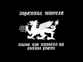 Download Lagu Infernal Mantle (UK) - Raise the Banners of Satan's Front (EP) 2025
