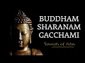 Buddham Sharanam Gacchami | Sadhguru explains this popular Buddhist Chant | Buddha Purnima