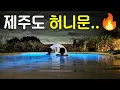 [SUB][Vlog] 1000일 기념으로 떠난 제주에서 생긴 일