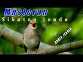 Download Lagu masteran Sikatan londo  full tembakan