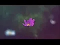 Quran recitation that will soothe your soul and heart