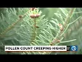 Pollen count creeping higher