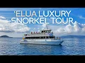 What It s Really Like Snorkeling Molokini on Elua Maui s Luxury Catamaran