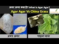 Agar Agar Vs China Grass Agar FAQ Everyday Life