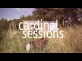 Noah Gundersen - By Your Side (Sade Cover) - CARDINAL SESSIONS