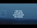 Mr.Kitty - After Dark (lyrics)