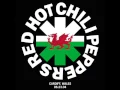Download Lagu Red Hot Chili Peppers - Kill For Your Country (Mini-Epic) (previously unreleased live performance)