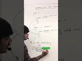 Static Methods Method Hiding Explained Not Overriding