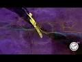 AFRO HOUSE MIXES - SESSION 22 (with Visuals) | DJ XcitMosphere