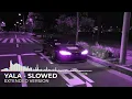 YALA EXTENDED - QMIIR, DJ Zarek, Irokz  (Slowed / TikTok Version)