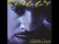 Piece Of My Heart - Shaggy