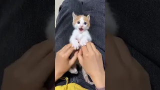 هوا انت طالع حلو لمين 