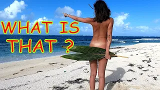 Ep. 111 Catalina is back. The Panamanian adventure ENDS!