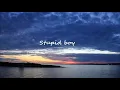 Keith Urban - Stupid Boy (with lyrics)