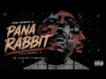 PANA RABBIT - Tito Double P (@Vivaslamusic )