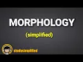 MORPHOLOGICAL operations in image processing