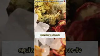 สาเหตุหลักที่ทำให้เกิดโรคไตวายเรื้อรังคืออะไร