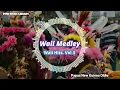 Download Lagu Wali Hits Vol.3 - Wali Medley (Papua New Guinea Oldie)
