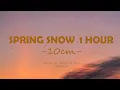 Download Lagu 10CM 'Spring Snow-1 hour (붐눈)' Lyrics (Lovely Runner OST Part 8)