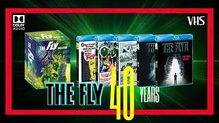 my the fly movie collection
