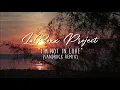 Download Lagu LaRoxx Project - I'm Not In Love (SandRock Remix) [Lyric Video]