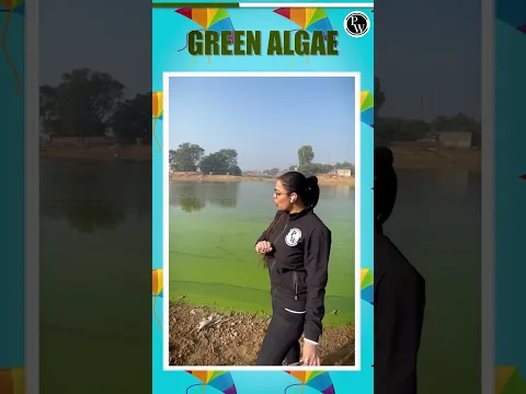 Download MP3 Why Do Green Algae Appear on the Surface of Water? #PhysicsWallah #PhysicsWallahEnglish