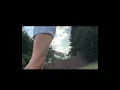Download Lagu I’m a bird AH AH AH A- #lizard #cute #funny