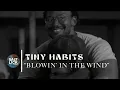 Tiny Habits covers Bob Dylan's "Blowin' in the Wind" | Salt Lick Sessions: Songs of U.S.