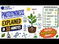 Photosynthesis EXPLAINED in 10 Minutes Cram Central