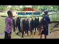 Download Lagu Inilah surga-Nya pemancing !! Yang tersembunyi puluhan tahun di hutan belantara