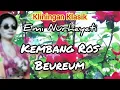 Download Lagu KEMBANG ROS BEUREUM - EMI NURHAYATI @Kangdedicosmo