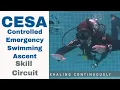 Download Lagu PADI CESA Demonstration 🤟 Divemaster \u0026 Instructor PADI IDC Skill Circuit