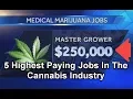 5 Highest Paying Jobs In The Cannabis Industry