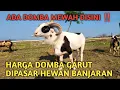 Download Lagu MUST WATCH ‼️GARUT SHEEP PRICES AT BANJARAN ANIMAL MARKET, MAJALENGKA REGENCY