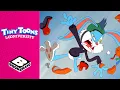 Invisible Hamton | Tiny Toons Looniversity | @BoomerangUK
