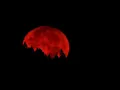 Juice WRLD - Red Moonlight Unreleased