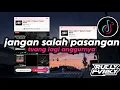 Lagu JANGAN SALAH PASANGAN || DJ TIKTOK TERBARU 2024 [RULLY FVNKY]