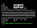 JC 陳詠桐 - 焦慮型依戀 +4 (CkyBeatz MTG Disco Remix 26') 汪少Style