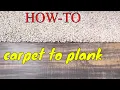Carpet to Vinyl Plank Transition Made Easy Step-by-Step Tutorial