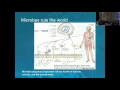 Download Lagu Research Horizons 2016: Yuzhen Ye