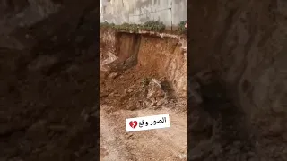 السور وقع يا بشمهندس    دندنها
