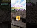 Download Lagu #music#tang ting tung . ting tang ting tung