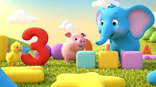                                               دندنها